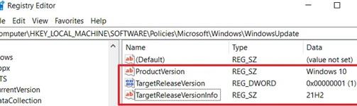 How to set target feature update version in registry