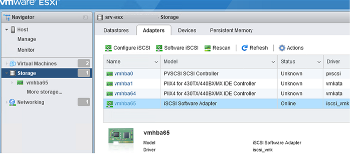 vmhba65 software iscsi adapter