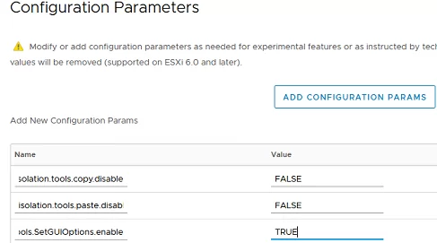 ESXi vm: isolation.tools.paste.disable 