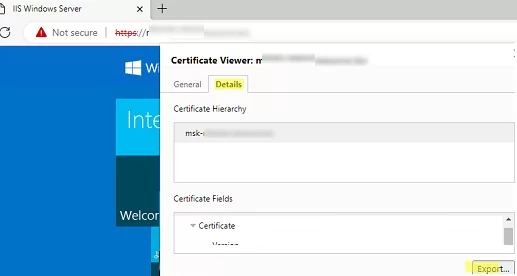 export web site certificate public key to file