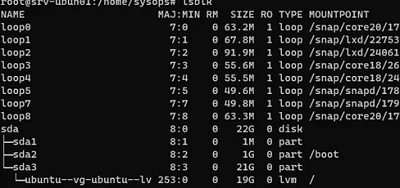 lsblk shows LVM volume