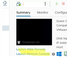 Open VM console